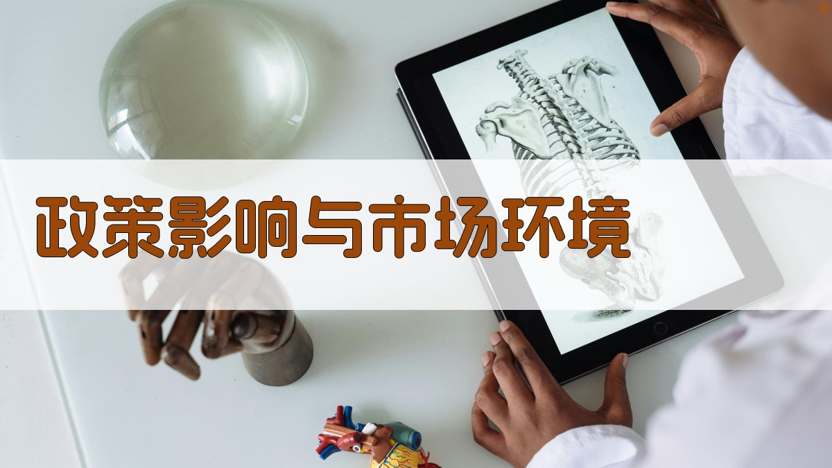 政策影响与市场环境 图1