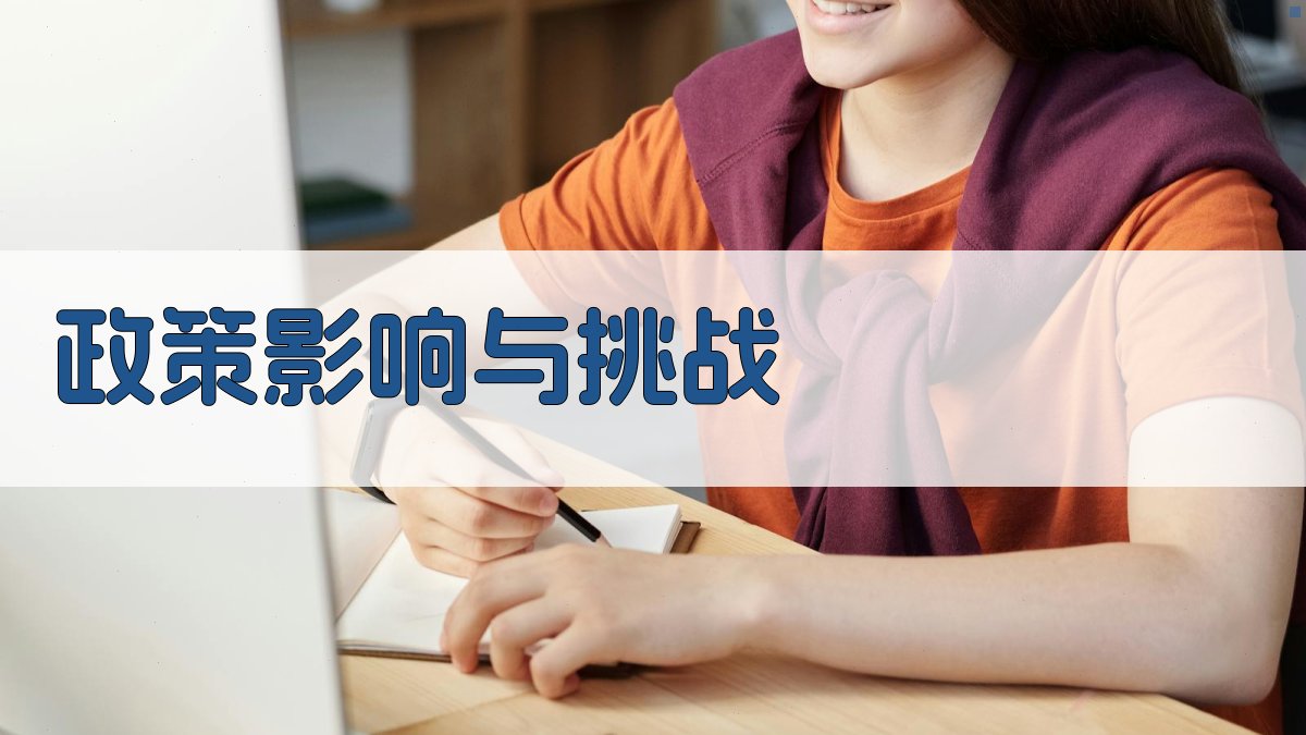 政策影响与挑战 图2