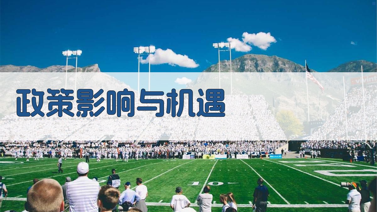 政策影响与机遇 图2