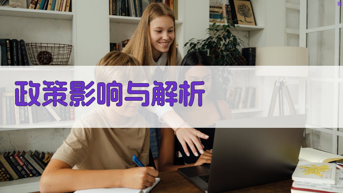 政策影响与解析 图2