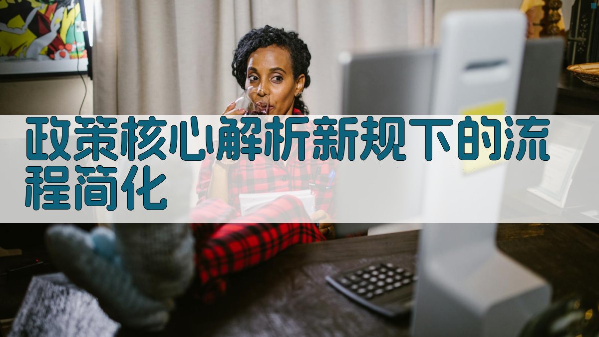 政策核心解析：新规下的流程简化 图2