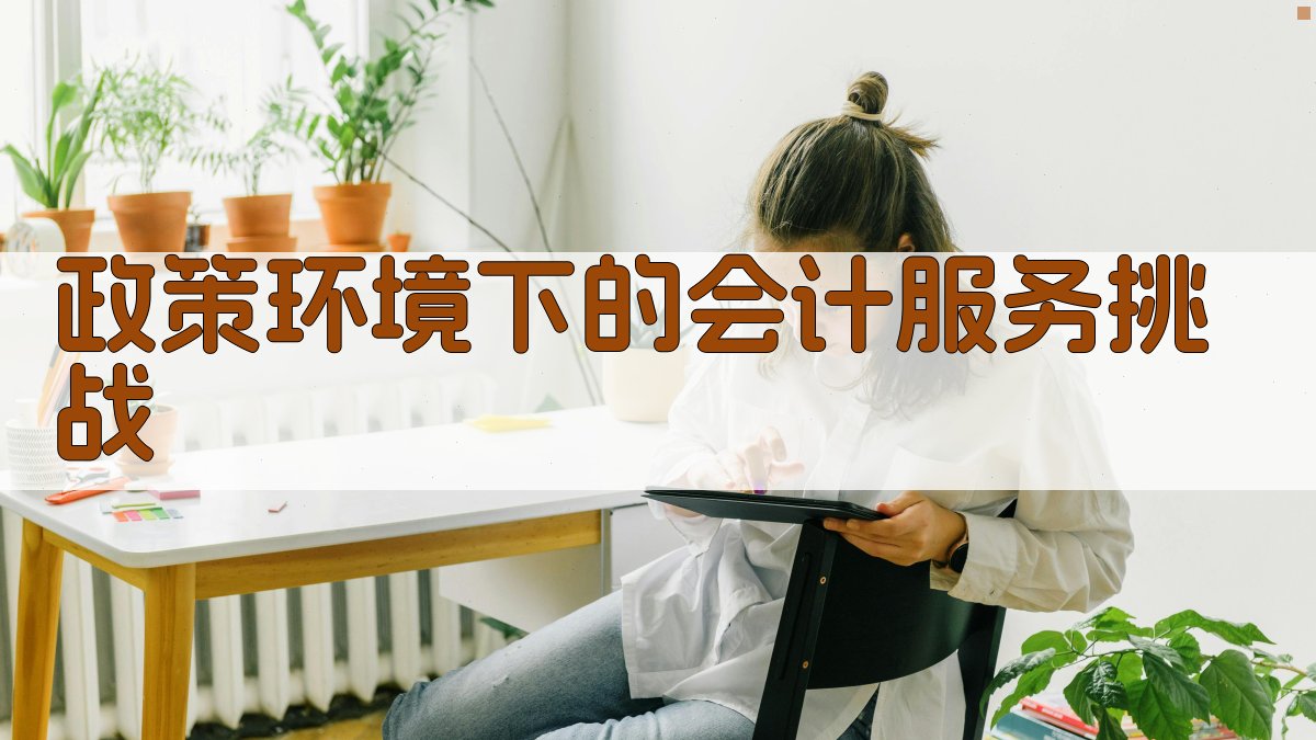 政策环境下的会计服务挑战 图1