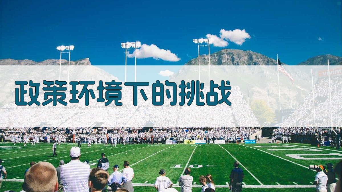政策环境下的挑战 图1