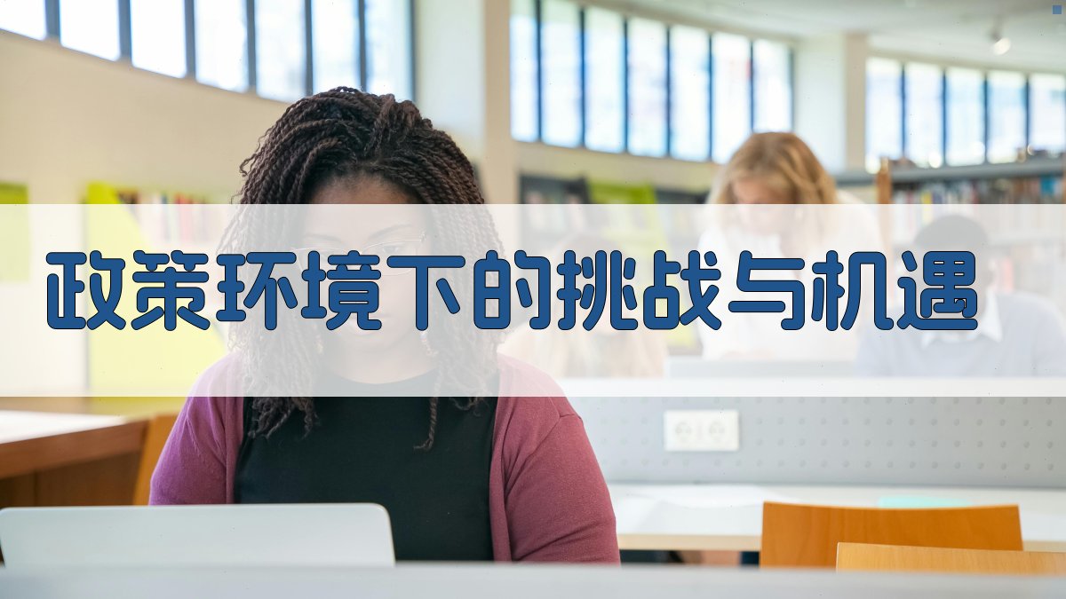 政策环境下的挑战与机遇 图1