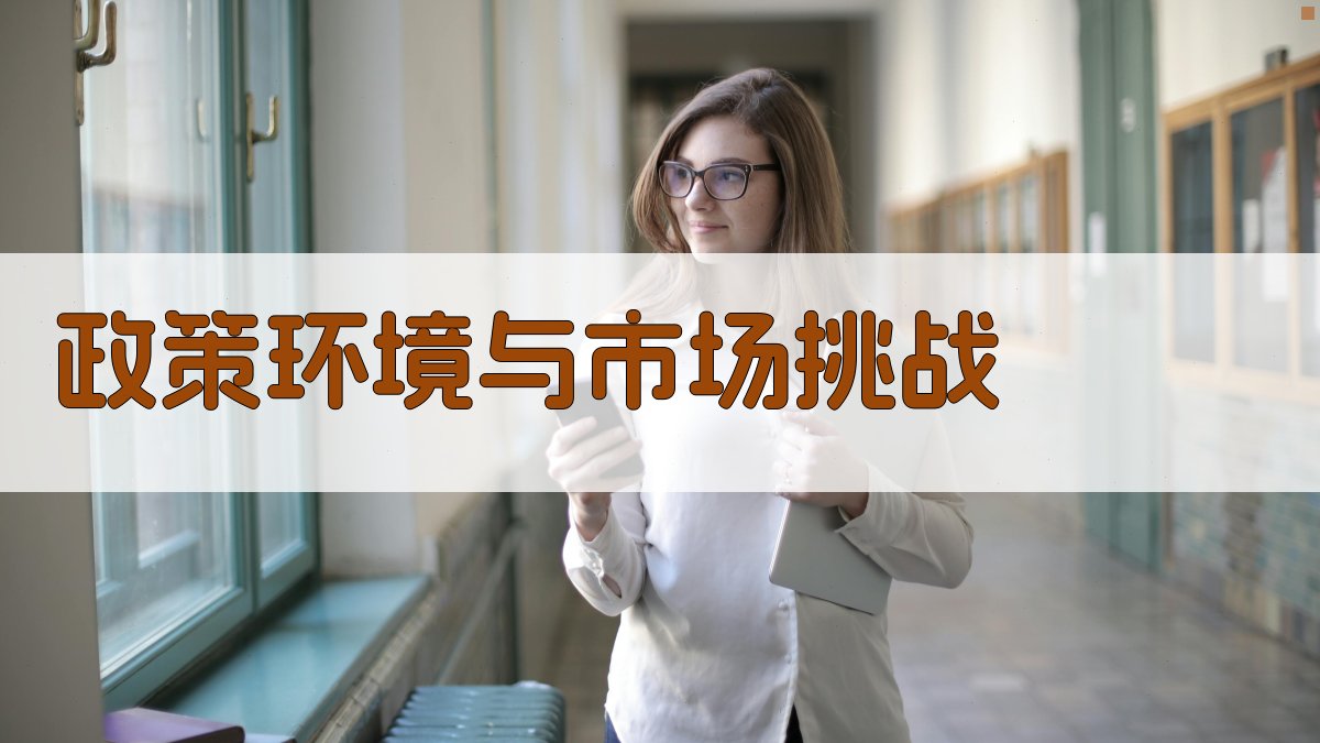 政策环境与市场挑战 图1