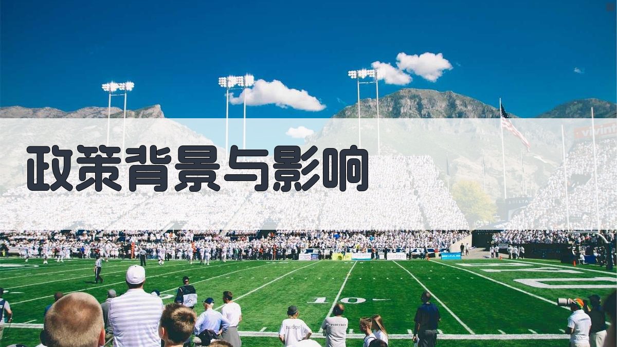 政策背景与影响 图1