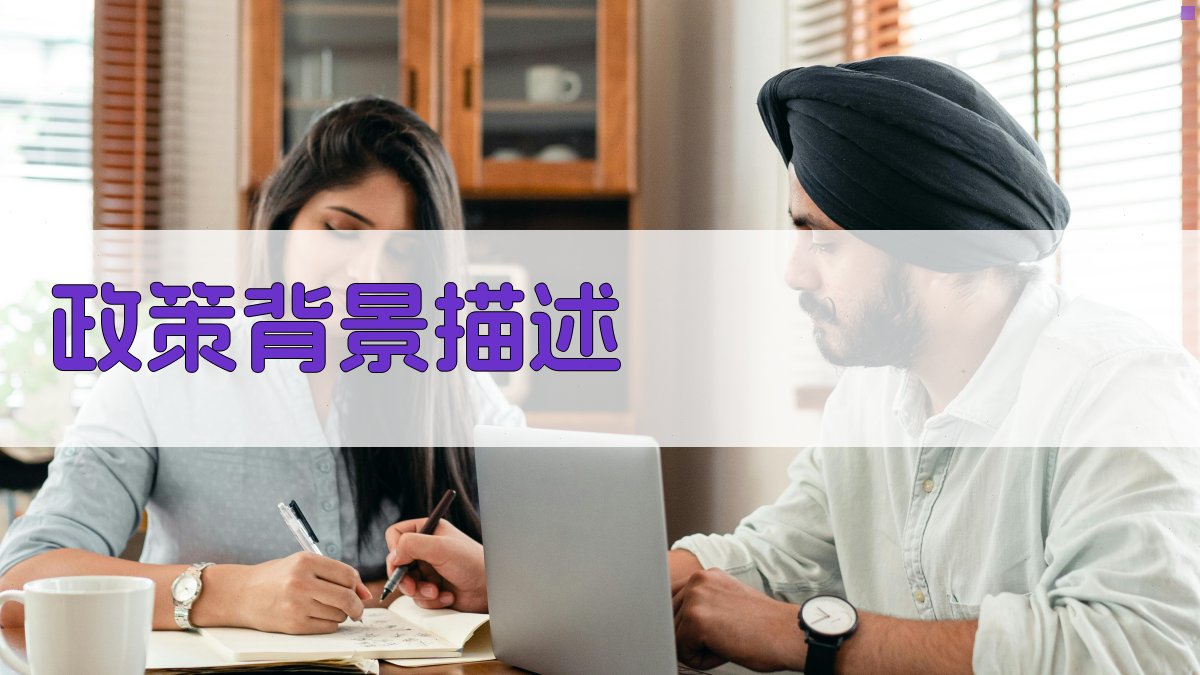 政策背景描述 图1