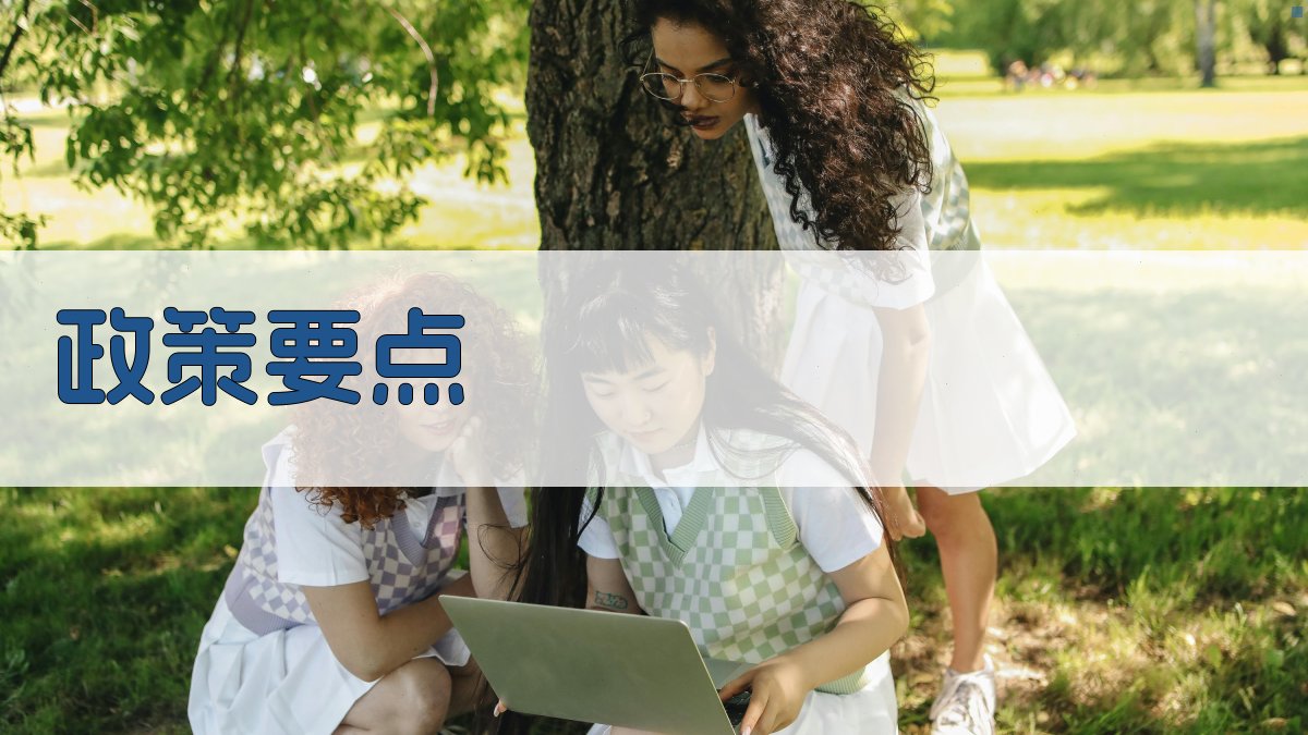 政策要点 图2