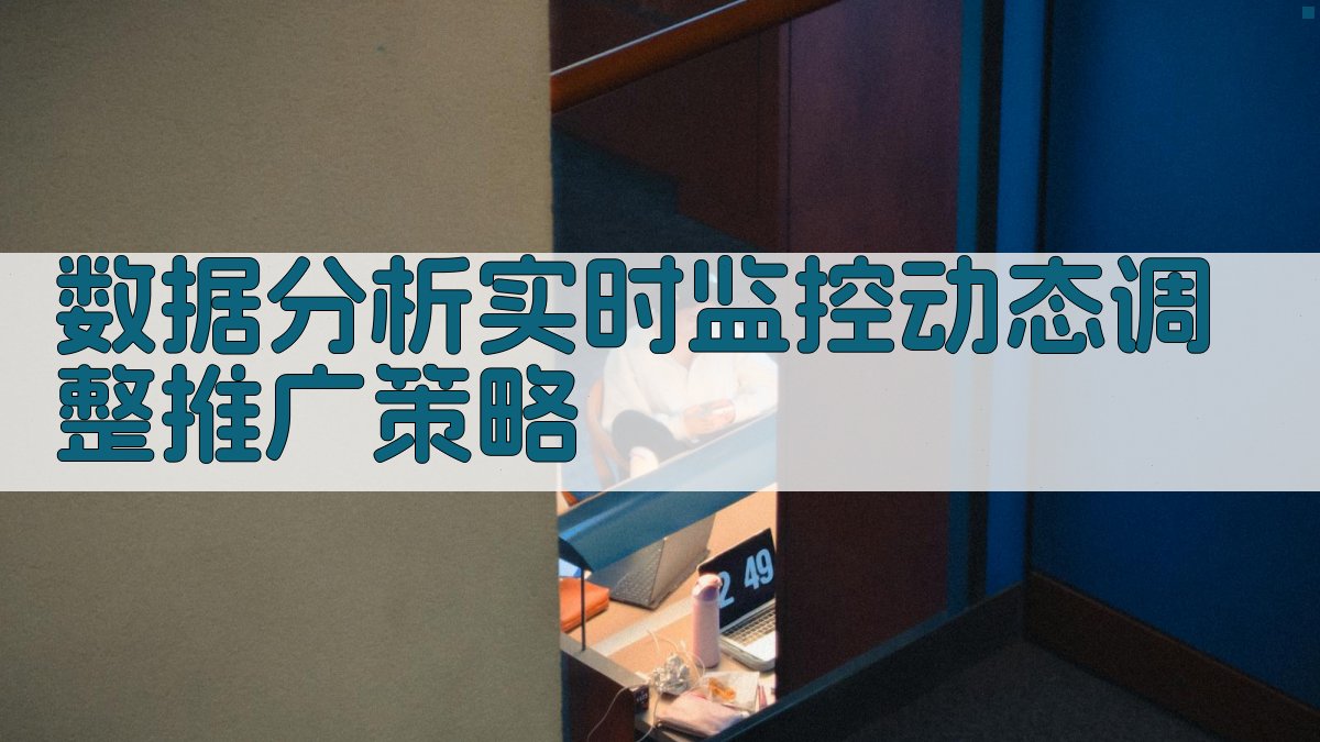 数据分析实时监控，动态调整推广策略 图3
