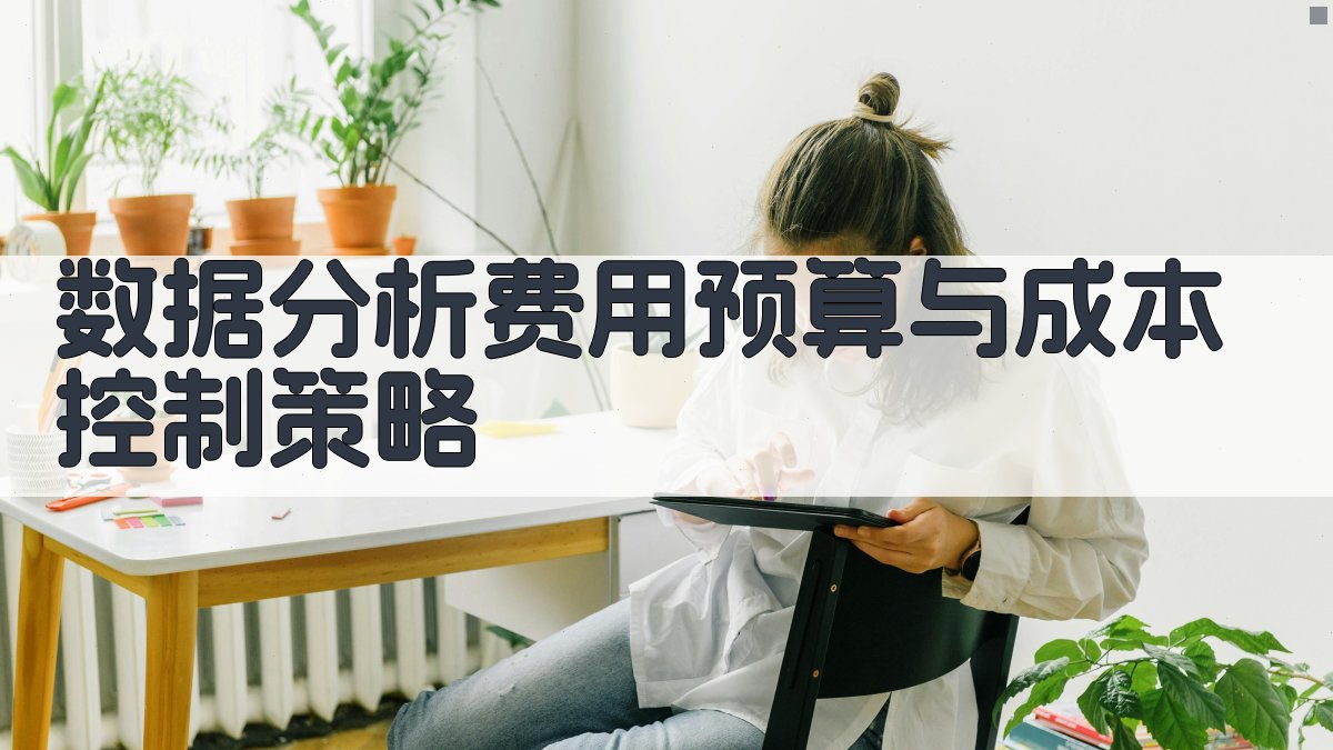 数据分析费用预算与成本控制策略 图1