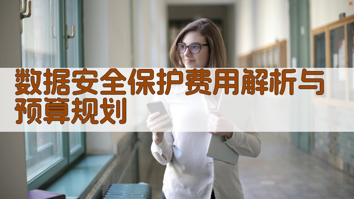 数据安全保护费用解析与预算规划 图2