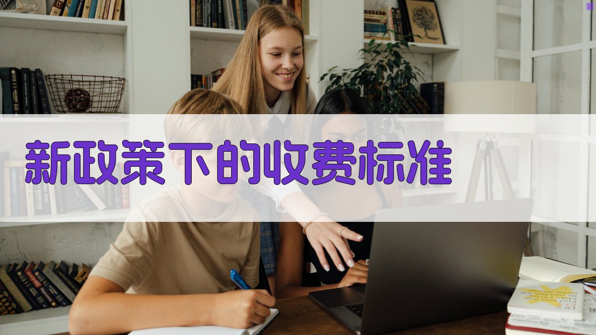 新政策下的收费标准 图2