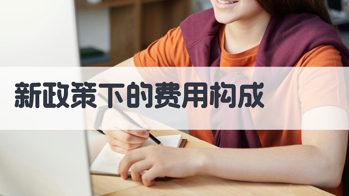 新政策下的费用构成 图1
