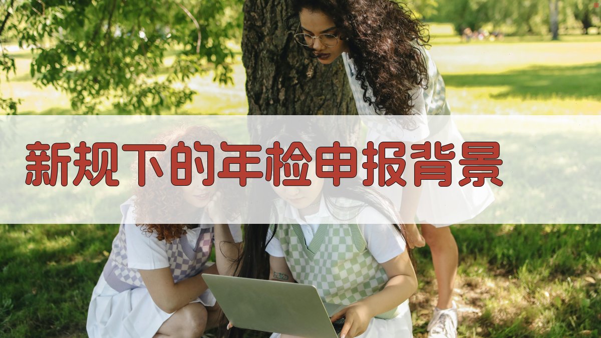 新规下的年检申报背景 图1