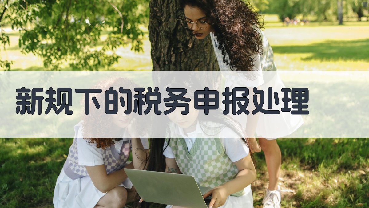 新规下的税务申报处理 图2