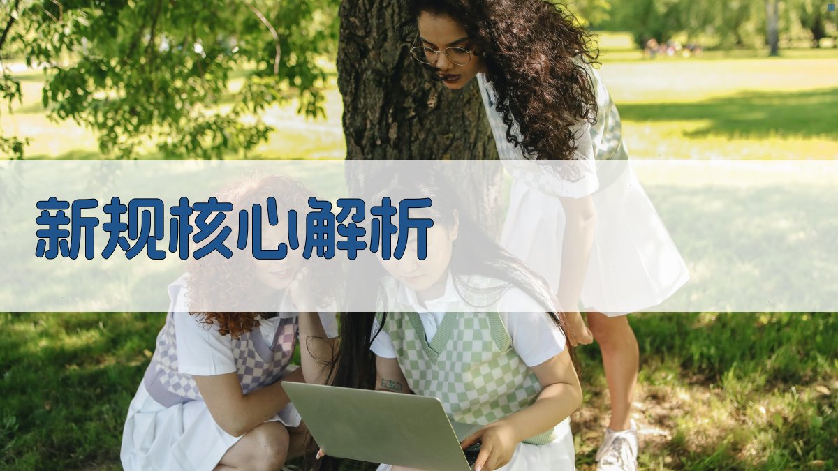 新规核心解析 图1