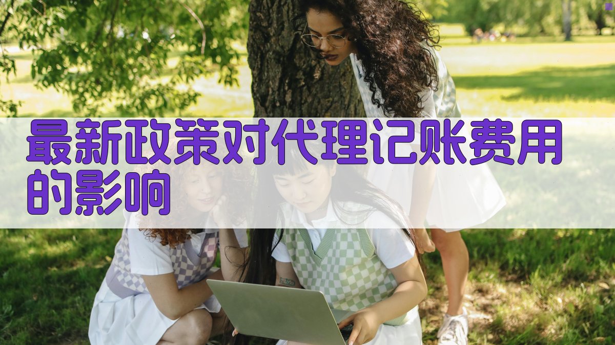最新政策对代理记账费用的影响 图1