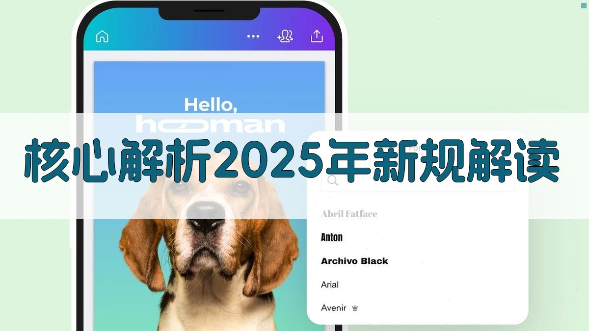 核心解析：2025年新规解读 图2