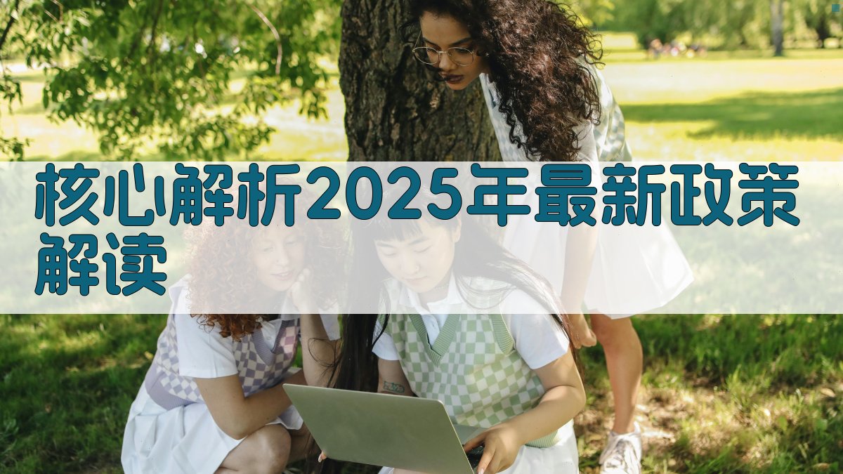 核心解析：2025年最新政策解读 图2