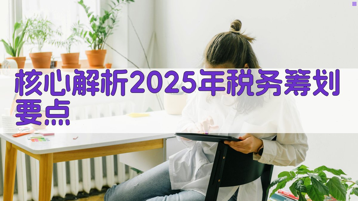 核心解析：2025年税务筹划要点 图2