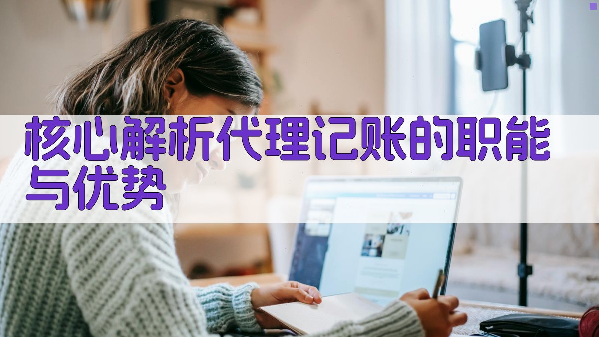 核心解析：代理记账的职能与优势 图2