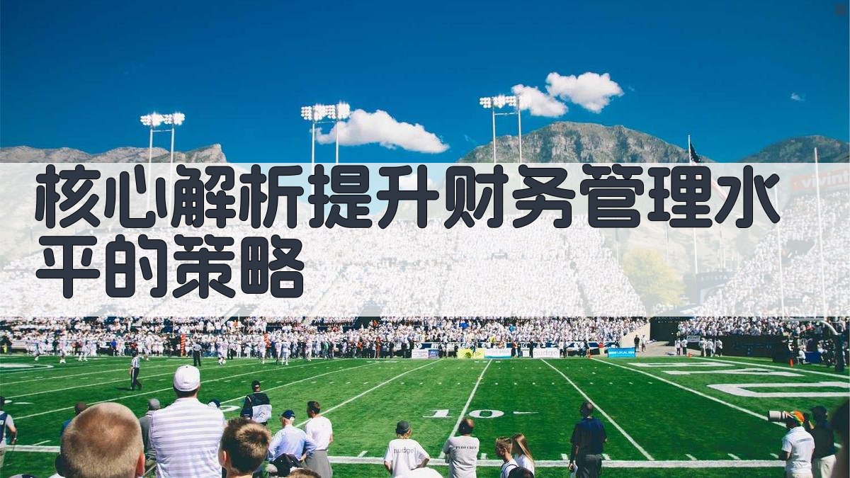 核心解析：提升财务管理水平的策略 图2