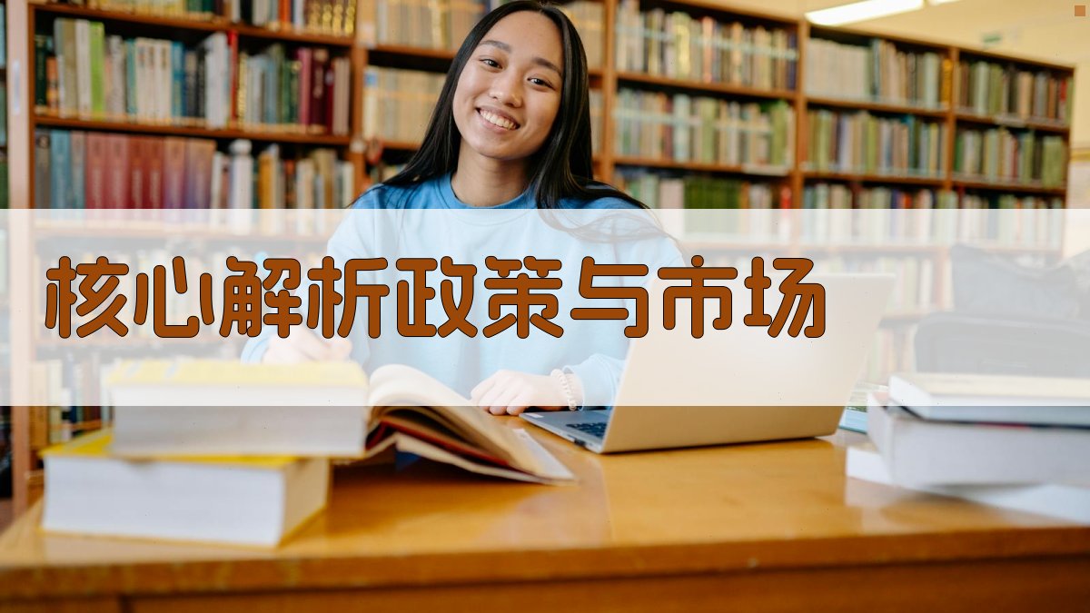 (核心解析：政策与市场) 图1