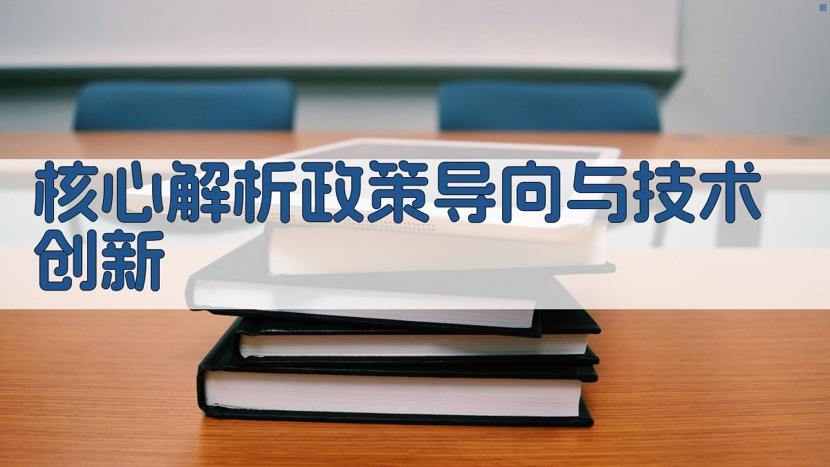 核心解析：政策导向与技术创新 图2