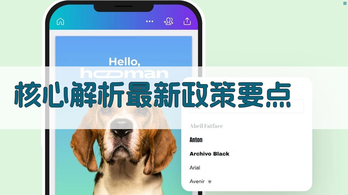 核心解析：最新政策要点 图2