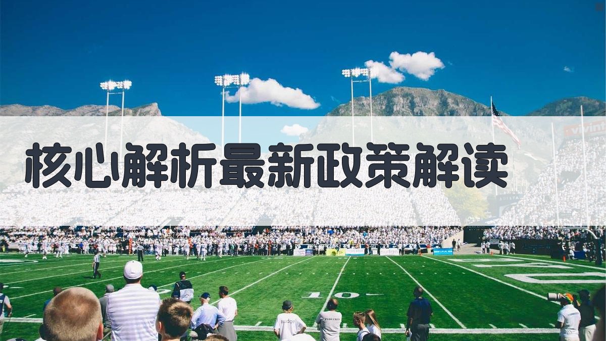 核心解析：最新政策解读 图2