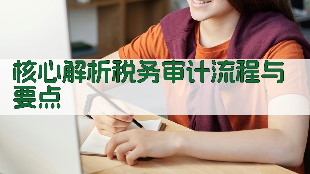 核心解析：税务审计流程与要点 图1