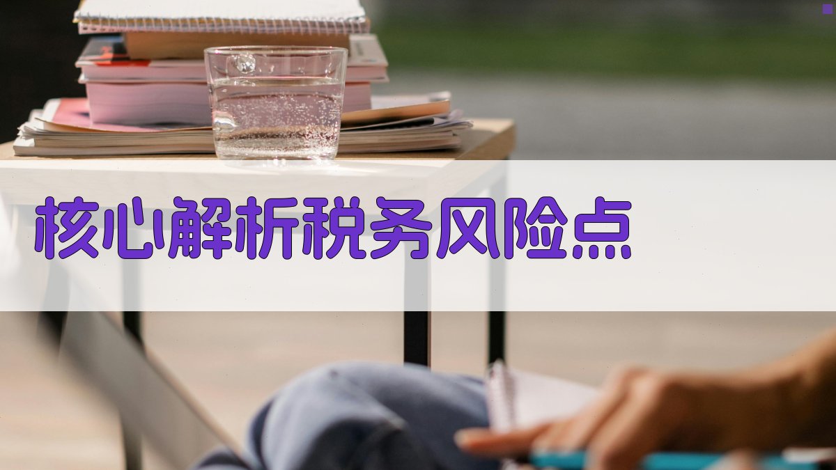 核心解析：税务风险点 图1