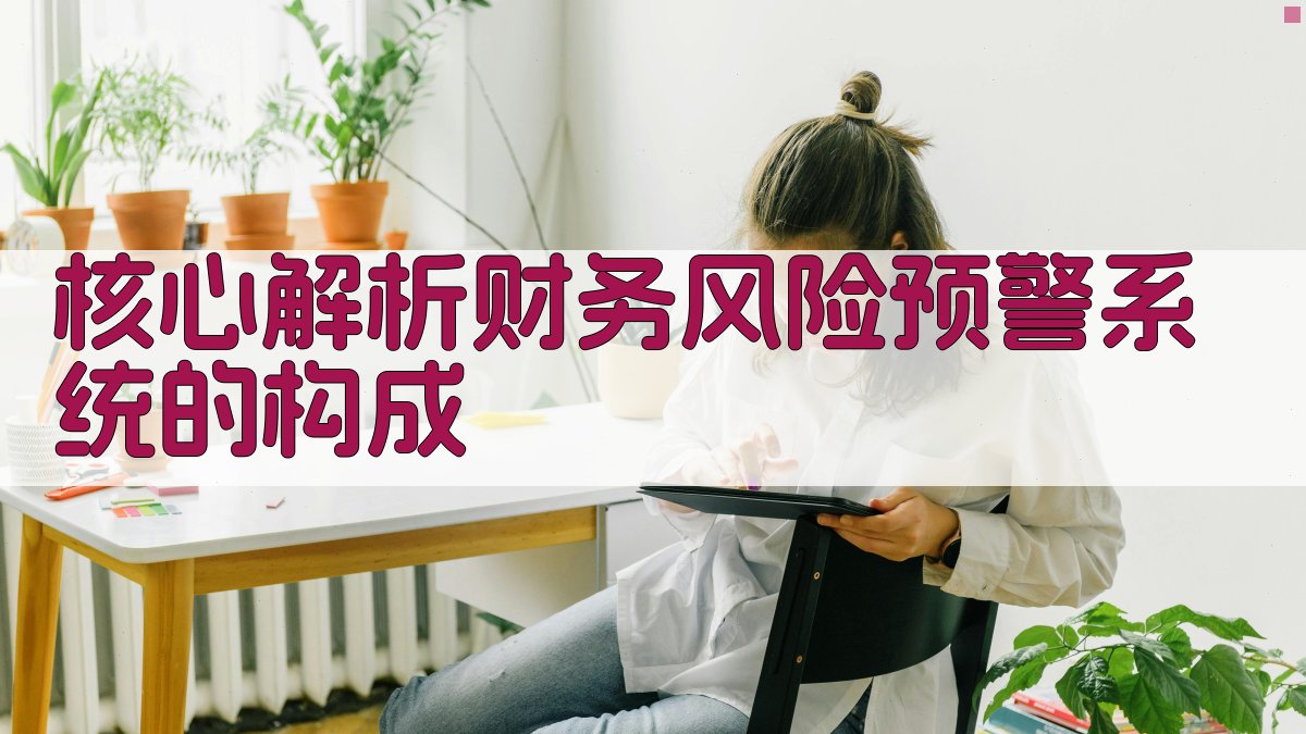 核心解析：财务风险预警系统的构成 图1