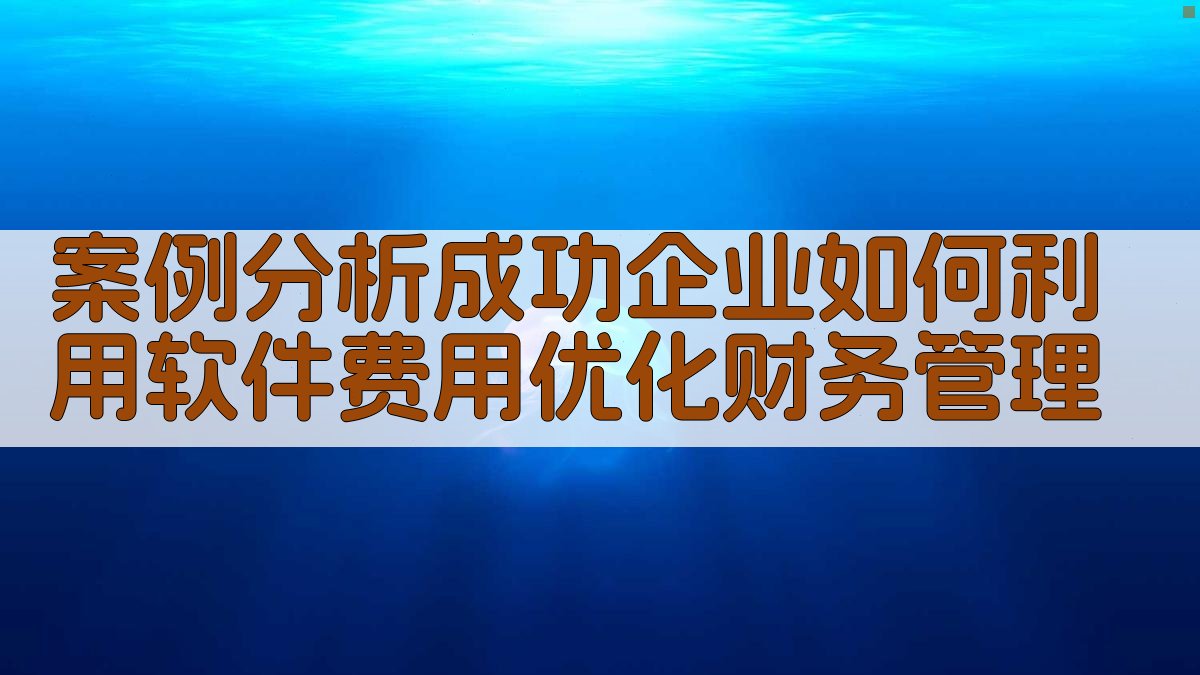 案例分析成功企业如何利用软件费用优化财务管理 图4