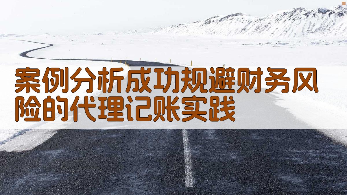 案例分析成功规避财务风险的代理记账实践 图4
