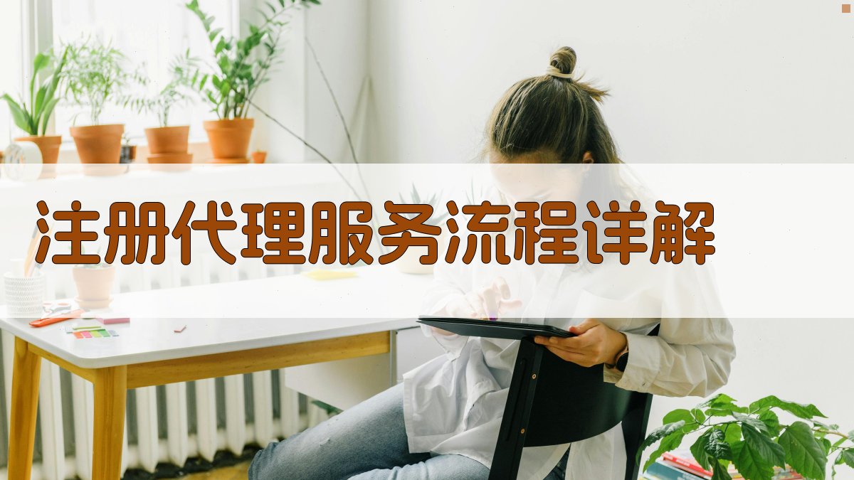 注册代理服务流程详解 图1