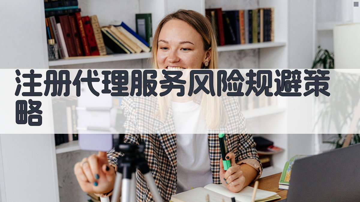 注册代理服务风险规避策略 图2