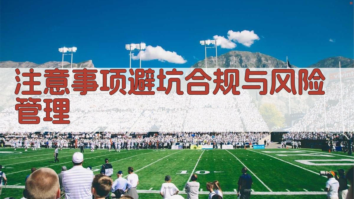 注意事项/避坑：合规与风险管理 图3