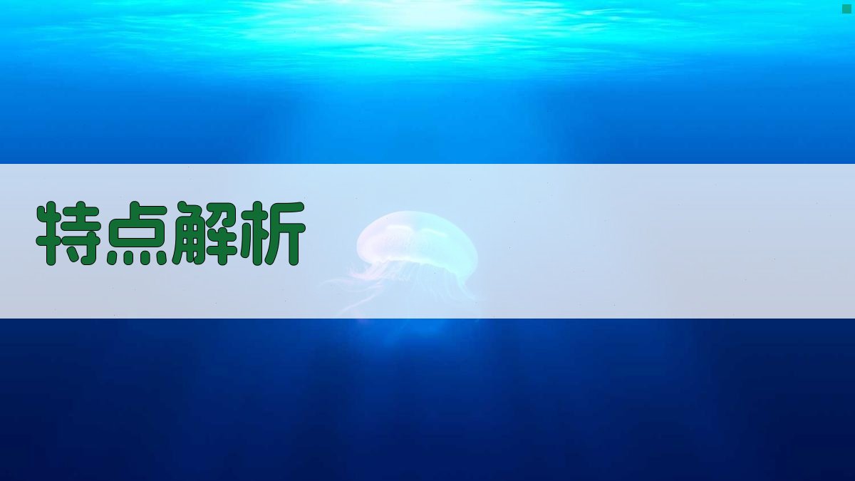 特点解析 图2