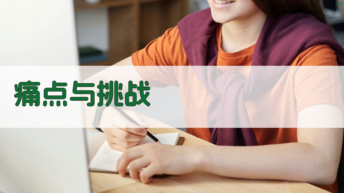 痛点与挑战 图2