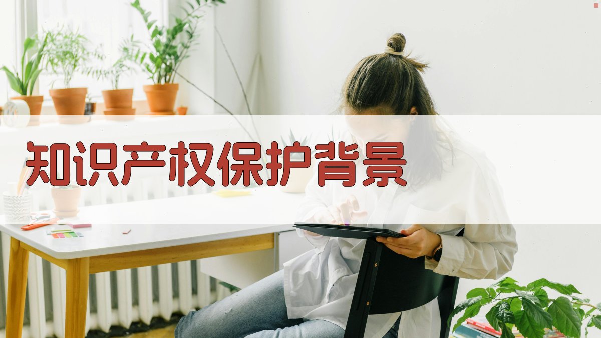 知识产权保护背景 图1