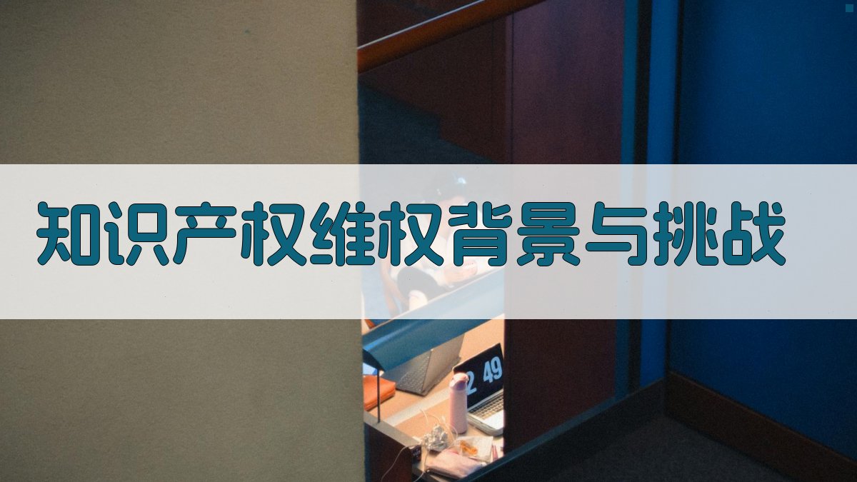 知识产权维权背景与挑战 图1