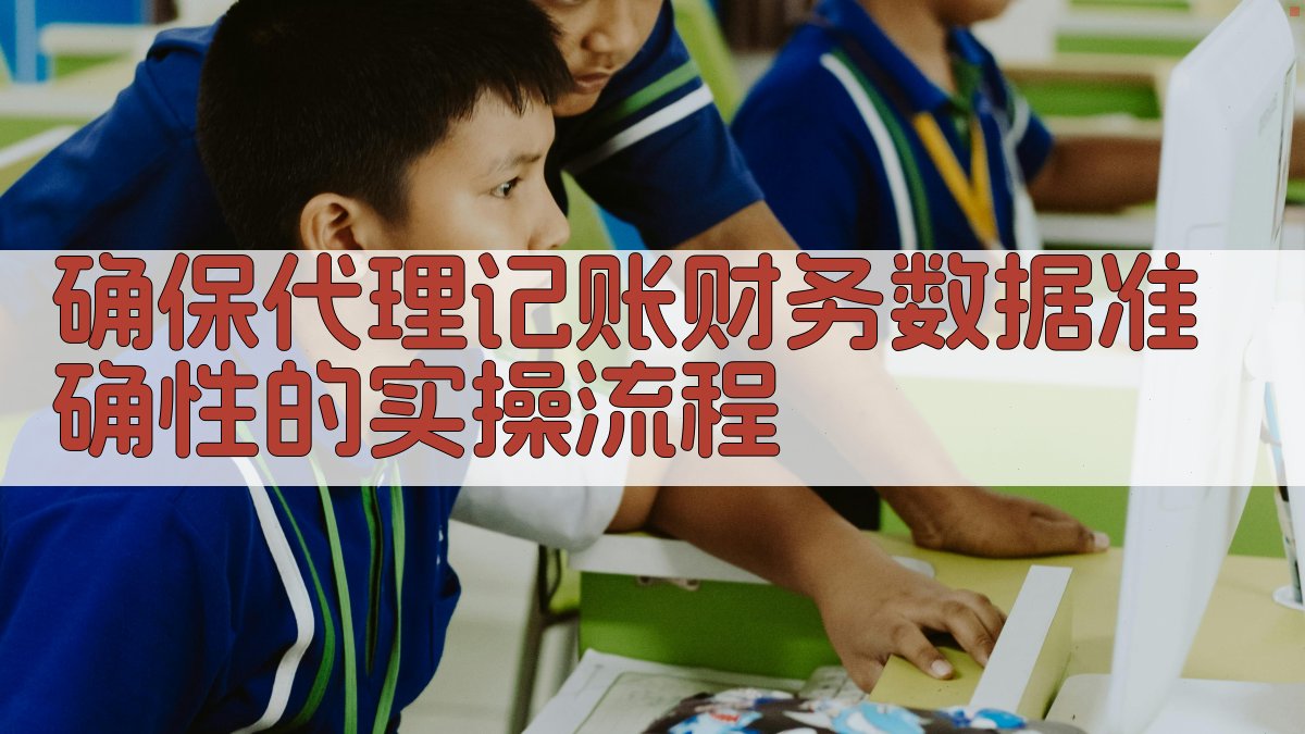 确保代理记账财务数据准确性的实操流程 图1