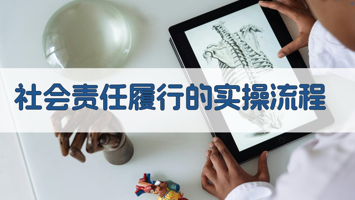 社会责任履行的实操流程 图1