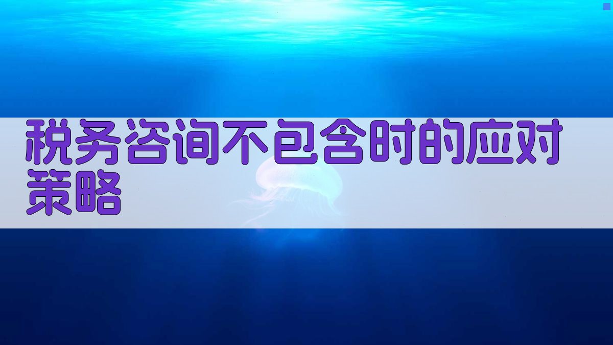 税务咨询不包含时的应对策略 图5