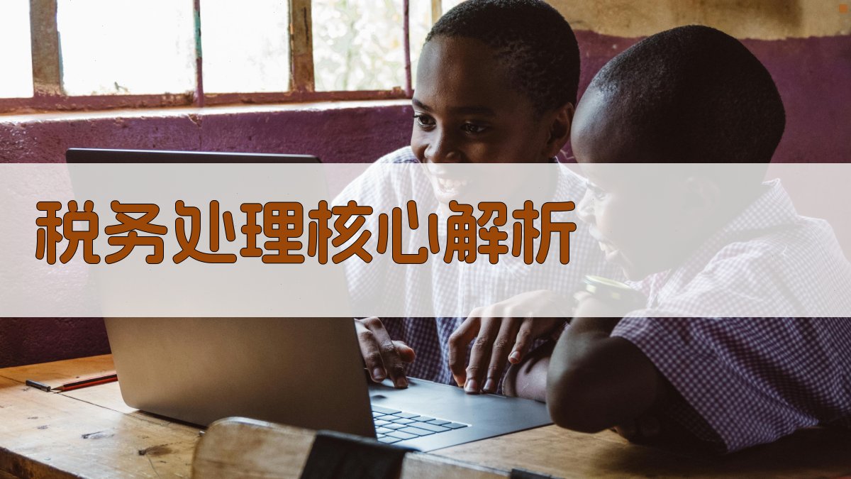 税务处理核心解析 图2