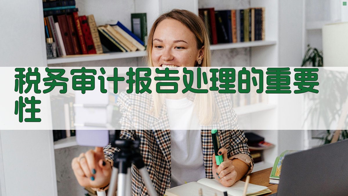 税务审计报告处理的重要性 图1