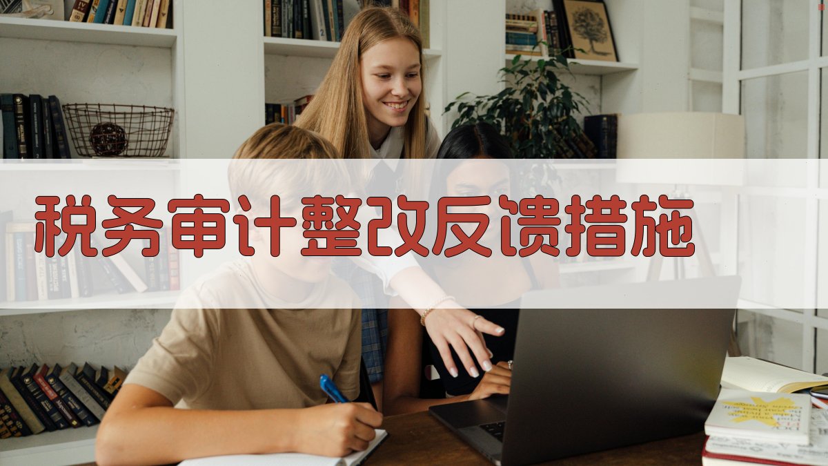 税务审计整改反馈措施 图2