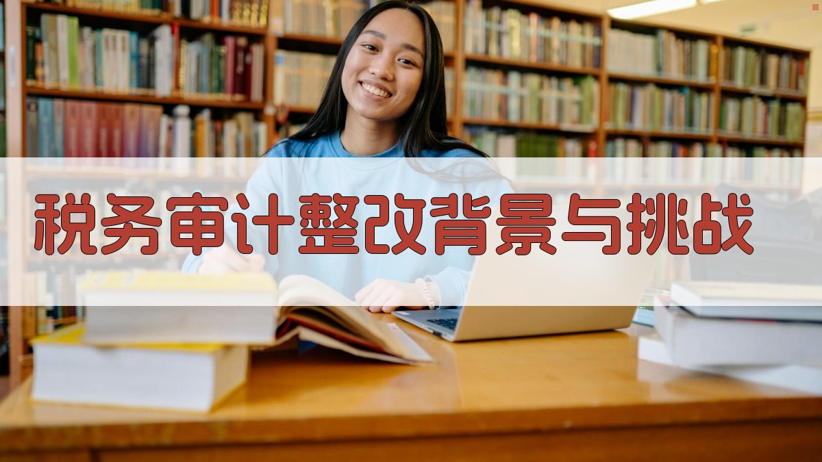 税务审计整改背景与挑战 图1