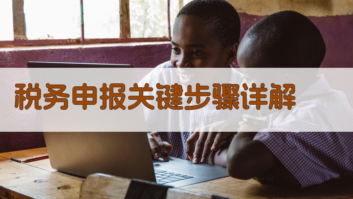 税务申报关键步骤详解 图2